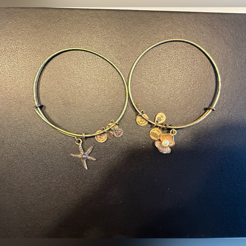 Alex and Ani Gold Charm Bangle Set